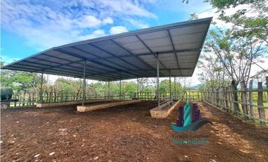 VENDO.FINCA  47HA CON.AGUA Y HUMEDALES.JUAY