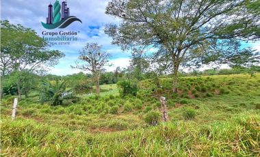 VENDO.FINCA  47HA CON.AGUA Y HUMEDALES.JUAY