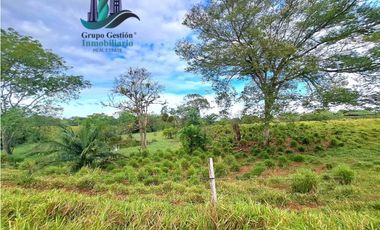 VENDO.FINCA  47HA CON.AGUA Y HUMEDALES.JUAY