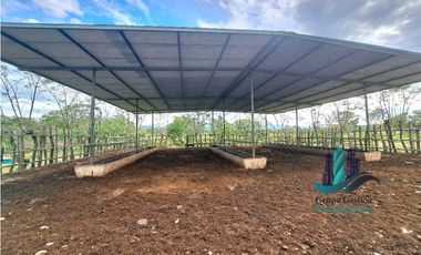 VENDO.FINCA  47HA CON.AGUA Y HUMEDALES.JUAY