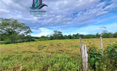 VENDO.FINCA  47HA CON.AGUA Y HUMEDALES.JUAY