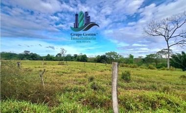VENDO.FINCA  47HA CON.AGUA Y HUMEDALES.JUAY