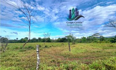 VENDO.FINCA  47HA CON.AGUA Y HUMEDALES.JUAY
