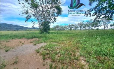 VENDO FINCA DE 25HECTAREAS TOP PLANA A 5 MINUTOS DE DAVID