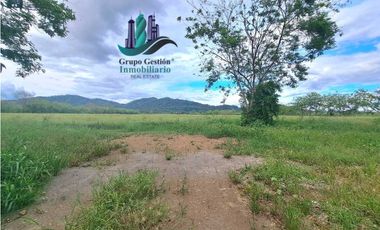 VENDO FINCA DE 25HECTAREAS TOP PLANA A 5 MINUTOS DE DAVID