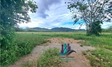 VENDO FINCA DE 25HECTAREAS TOP PLANA A 5 MINUTOS DE DAVID