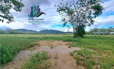 VENDO FINCA DE 25HECTAREAS TOP PLANA A 5 MINUTOS DE DAVID