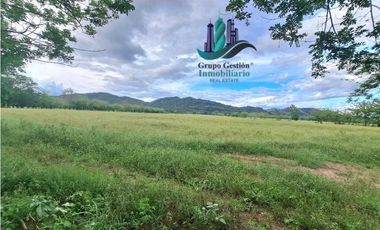 VENDO FINCA DE 25HECTAREAS TOP PLANA A 5 MINUTOS DE DAVID