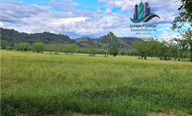 VENDO FINCA DE 25HECTAREAS TOP PLANA A 5 MINUTOS DE DAVID