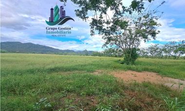 VENDO FINCA DE 25HECTAREAS TOP PLANA A 5 MINUTOS DE DAVID