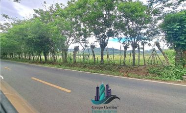 VENDO FINCA DE 25HECTAREAS TOP PLANA A 5 MINUTOS DE DAVID