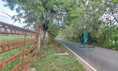 VENDO FINCA DE 25HECTAREAS TOP PLANA A 5 MINUTOS DE DAVID