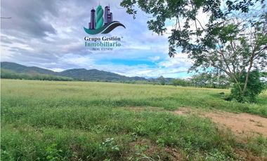 VENDO FINCA DE 25HECTAREAS TOP PLANA A 5 MINUTOS DE DAVID