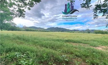 VENDO FINCA DE 25HECTAREAS TOP PLANA A 5 MINUTOS DE DAVID