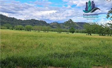 VENDO FINCA DE 25HECTAREAS TOP PLANA A 5 MINUTOS DE DAVID