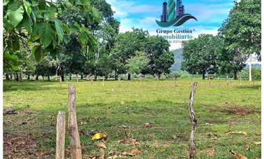 VENDO LOTE COMERCIAL 1378.EN.SAN PABLO.VIEJO