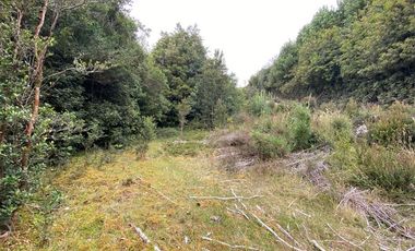 Parcela en Venta en Queilén