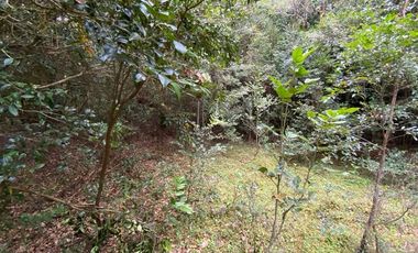 Parcela en Venta en Queilén