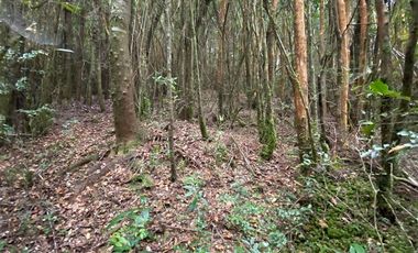 Parcela en Venta en Queilén