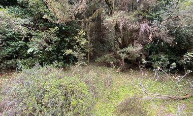 Parcela en Venta en Queilén