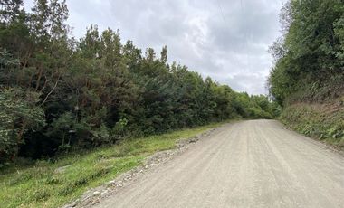 Parcela en Venta en Queilén