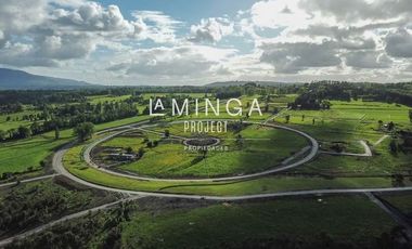 Sitio en Venta en Chauquen