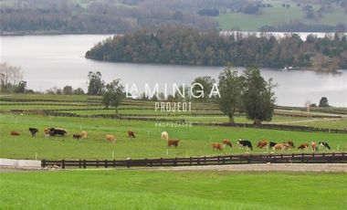 Sitio en Venta en Chauquen