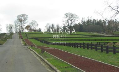 Sitio en Venta en Chauquen