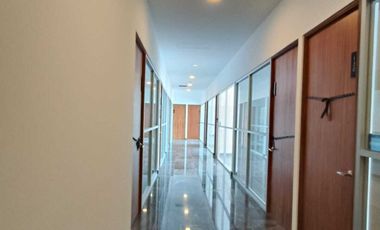 OFICINA PEDREGAL RENTA
