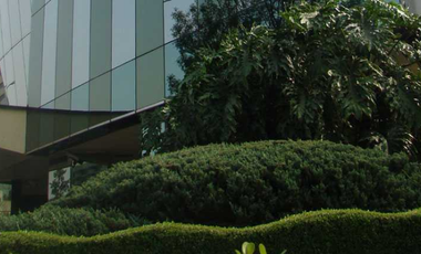 Oficina en Renta, Lomas de Chapultepec
