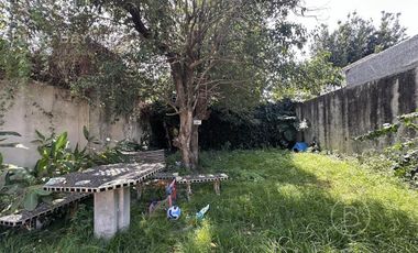 Casa de 2 dormitorios y fondo libre en venta en Escalada. Alquilada hasta Julio de 2025
