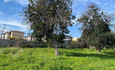 Amplio Terreno Con Casa Quinta! - La Cruz