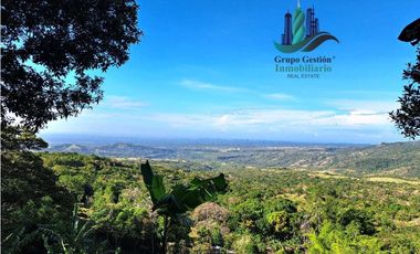 VENDO FINCA DE 14HECTAREAS+ CON 7 OJOS DE AGUA. ALTITUD 850MSNM