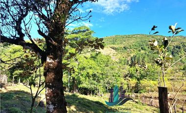 VENDO FINCA DE 14HECTAREAS+ CON 7 OJOS DE AGUA. ALTITUD 850MSNM