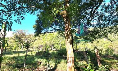 VENDO FINCA DE 14HECTAREAS+ CON 7 OJOS DE AGUA. ALTITUD 850MSNM