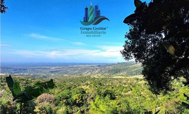 VENDO FINCA DE 14HECTAREAS+ CON 7 OJOS DE AGUA. ALTITUD 850MSNM