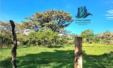 VENDO FINCA DE 14HECTAREAS+ CON 7 OJOS DE AGUA. ALTITUD 850MSNM