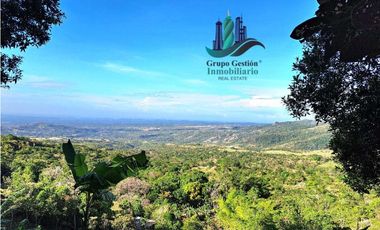 VENDO FINCA DE 14HECTAREAS+ CON 7 OJOS DE AGUA. ALTITUD 850MSNM