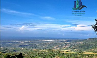VENDO FINCA DE 14HECTAREAS+ CON 7 OJOS DE AGUA. ALTITUD 850MSNM