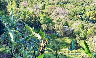 VENDO FINCA DE 14HECTAREAS+ CON 7 OJOS DE AGUA. ALTITUD 850MSNM