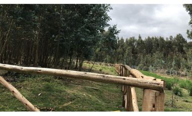 Lasso, Terreno en Venta, 5290m2, Cos PB 15%, 2 Pisos