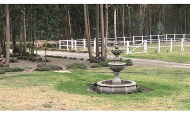 Lasso, Terreno en Venta, 4915m2, Cos PB 15%, 2 Pisos