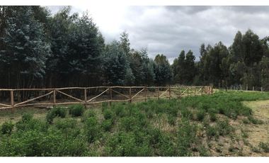 Lasso, Terreno en Venta, 4915m2, Cos PB 15%, 2 Pisos