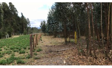 Lasso, Terreno en Venta, 4916m2, Cos PB 15%, 2 Pisos