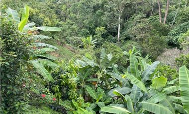 Finca Por El Colegio Bogotá Se Permuta Por Propiedad en Santa Marta