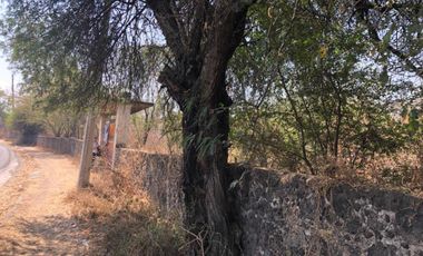 Terreno en venta en Amador Salazar, Tlaltizapán de Zapata, Morelos