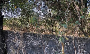 Terreno en venta en Amador Salazar, Tlaltizapán de Zapata, Morelos