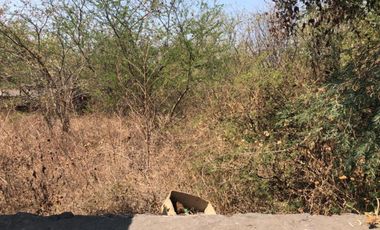 Terreno en venta en Amador Salazar, Tlaltizapán de Zapata, Morelos