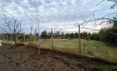 Sitio en Venta en CONDOMINIO ALGARROBOS IV