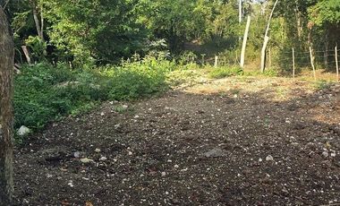 Venta de Terreno, 17 has, Tahmuy, Valladolid, Yuc.